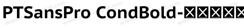 PTSansPro CondBold字体转换